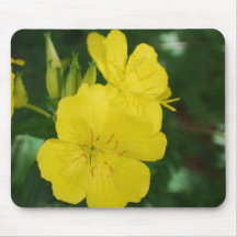 Evening Primrose Mouse Pad