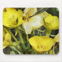 Evening Primrose Mousepad