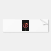 Evening Red Bumper Stickers