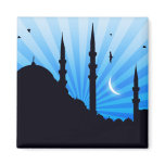 Evening stars in Istanbul Refrigerator Magnet