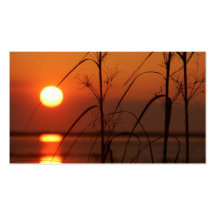 Evening Sun Reflection Business Cards