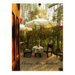 Evening Tea By The Bamboo Grove Post Cards