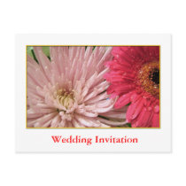 Event Invitation, flowers Postcard
