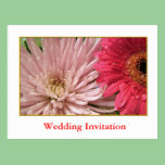 Event Invitation, flowers postcards