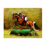 Eventer - Horse Art t-shirts