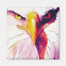 "Everette" Bald Eagle Watercolor Fridge Magnets