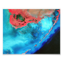 Everglades and Florida Keys, USA Art Photo