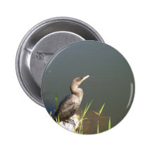 Everglades - Bird Buttons
