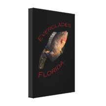 Everglades Florida Gallery Wrapped Canvas