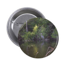 Everglades - Heron in swamp Pinback Button