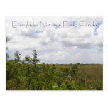 Everglades National Park, Florida Post Cards
