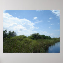 Everglades Playful Composition Poster