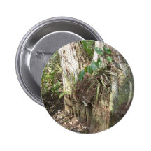 Everglades - swamp - marsh pins