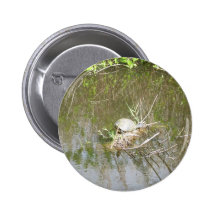 Everglades - tortoise buttons