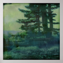 Evergreen Posters