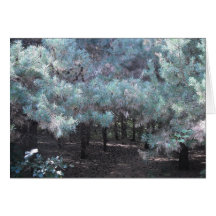 Evergreen Serenity Cards