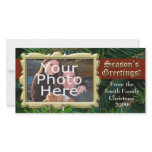 Evergreen Tree with Gold Frame, Season's Greetings Custom Photo Card