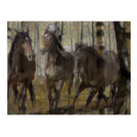 Everlasting Spirit Postcard