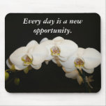 Every day is a new opportunity. mousepads