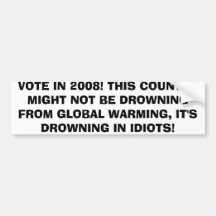 EVERY VOTE COUNTS BUMPER STICKERS