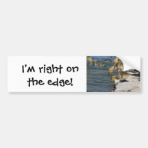 Everybody In, I'm right on the edge! Bumper Sticker