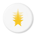 Everybody loves stars fridge magnets