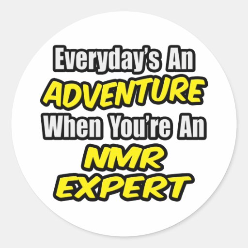 Everyday's An Adventure...NMR Expert Round Stickers