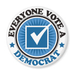 Everyone Vote A Democrat Magnets