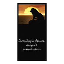 Everything Passing  Photo Card