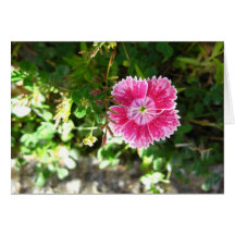 Everything Will Get Better Card