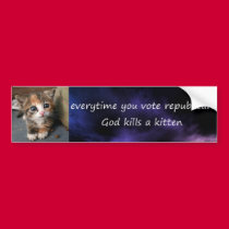 everytime you vote republican bumper stickers