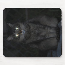 Evil Cat Mousepad
