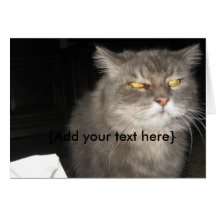 Evil Cat Note Card