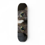 Evil Eyes Skate Board Decks