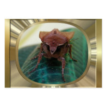 Evil Moth 1 ~ ATC Business Card