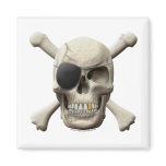 Evil Pirate Skull & Crossbones Magnets