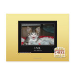 Evil Post Cards