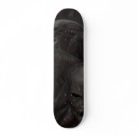 evil skull skate board