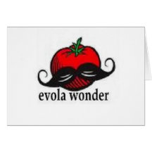 EVOLA HANDLE BARS CARDS