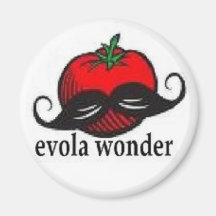 EVOLA HANDLE BARS MAGNET