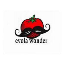 EVOLA HANDLE BARS POST CARD