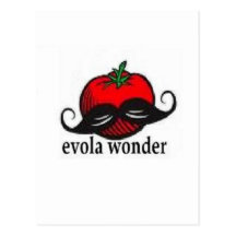 EVOLA HANDLE BARS POST CARDS