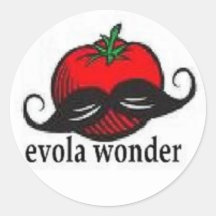 EVOLA HANDLE BARS STICKER