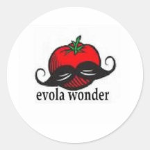 EVOLA HANDLE BARS STICKERS