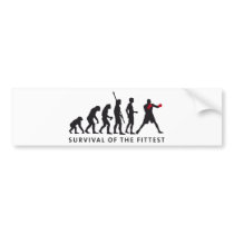 evolution boxing autoaufkleber