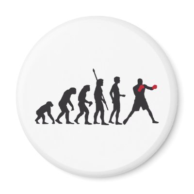 evolution boxing magnets by Axel_67