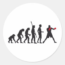 evolution boxing stickers