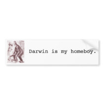 Evolution: 'Darwin is my homeboy' Bumper Sticker