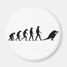 Évolution de la photographie aimant