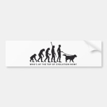 evolution dog autoaufkleber